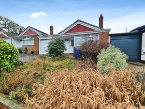 Photo 3- click for photo gallery